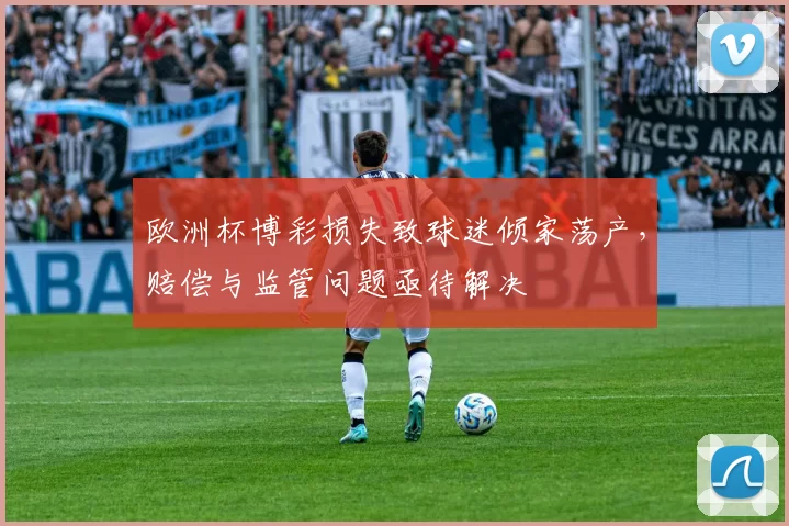 欧洲杯博彩损失致球迷倾家荡产，赔偿与监管问题亟待解决